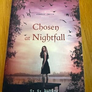Chosen at Nightfall Book